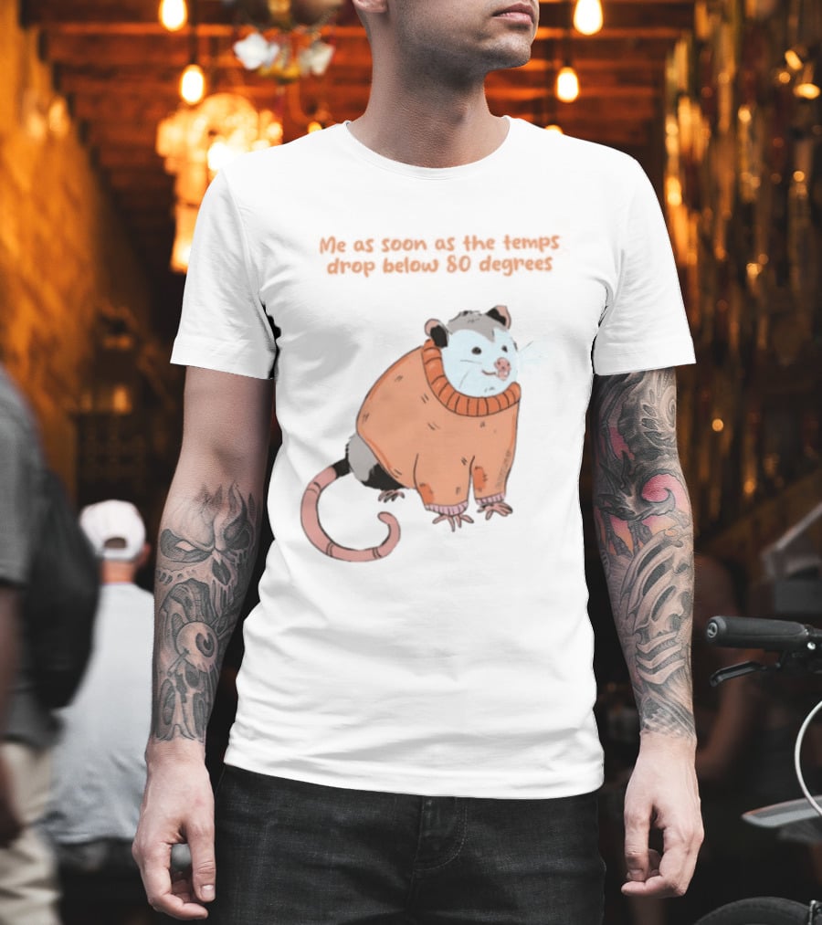 Opossum Cozy Sweater Temps Below 80 Degrees T-Shirt