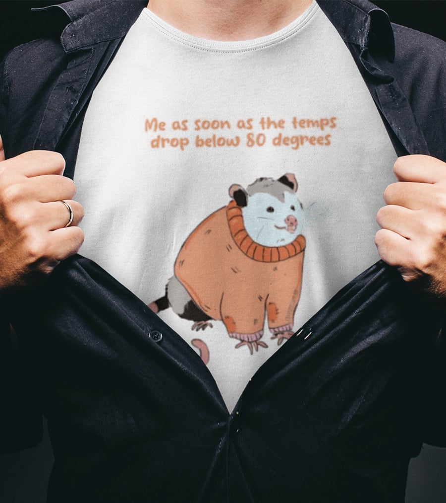 Opossum Cozy Sweater Temps Below 80 Degrees T-Shirt