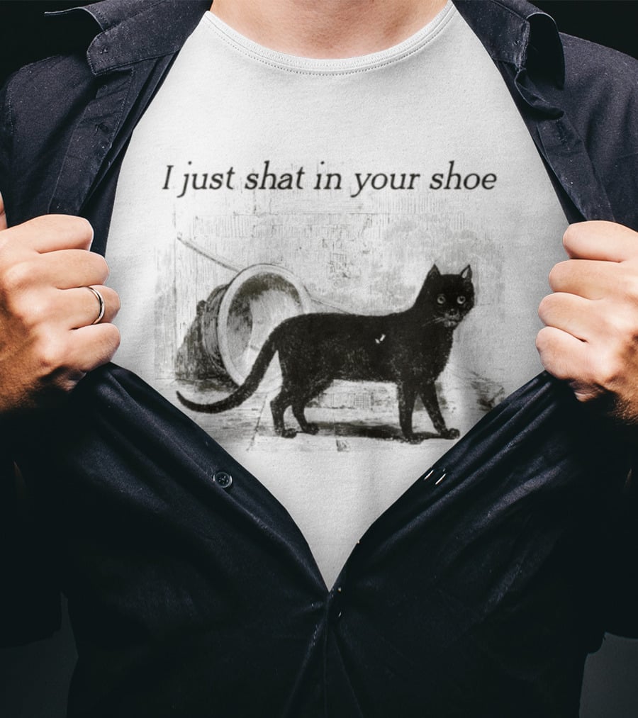 Cat I Just Shat In Your Shoe Silhouette And Litter Box T-Shirt