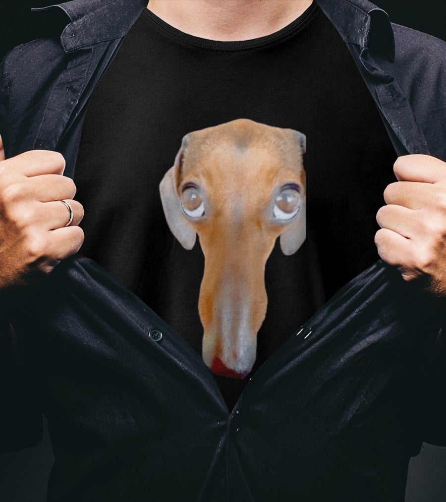 Big Ol Weiner Dog Dachshund Puppy Face Funny Novelty T-Shirt