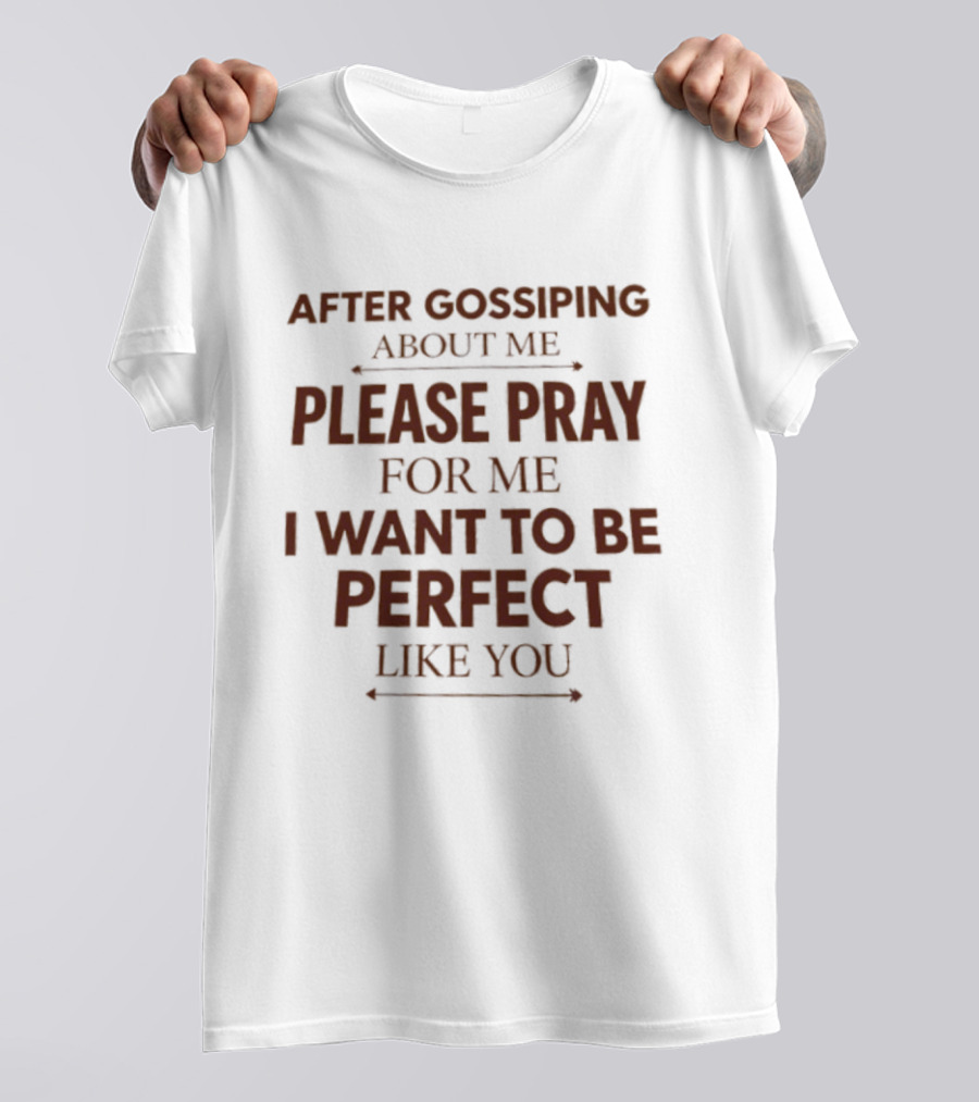After Gossiping About Me Please Pray For Me I Want To Be Perfect Like You T-Shirt