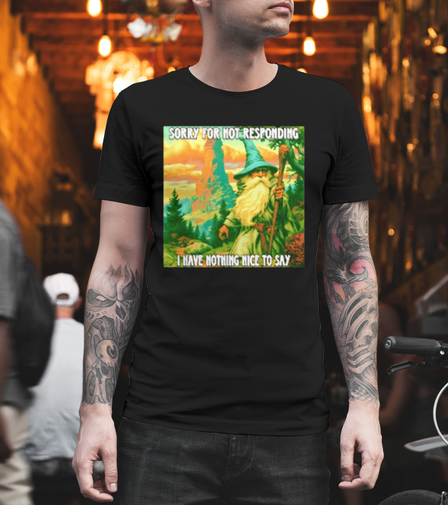 Sorry For Not Responding I Have Nothing Nice To Say Wizard Scene T-Shirt