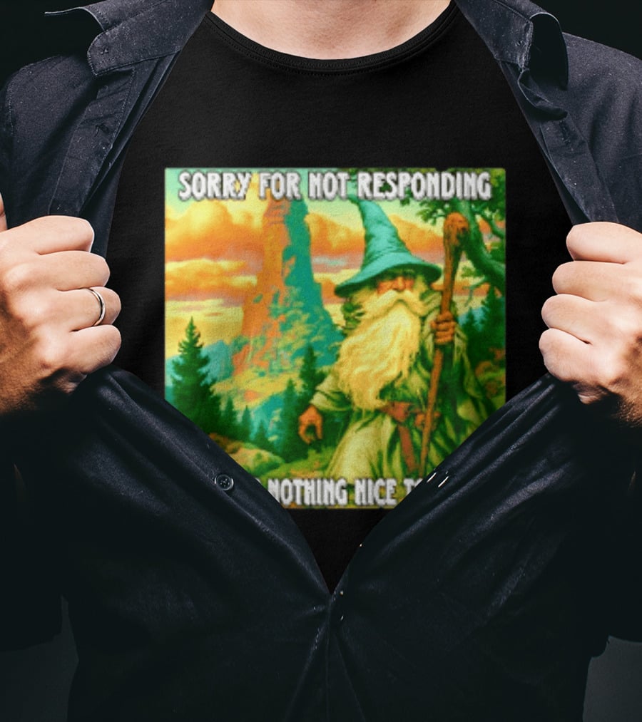 Sorry For Not Responding I Have Nothing Nice To Say Wizard Scene T-Shirt