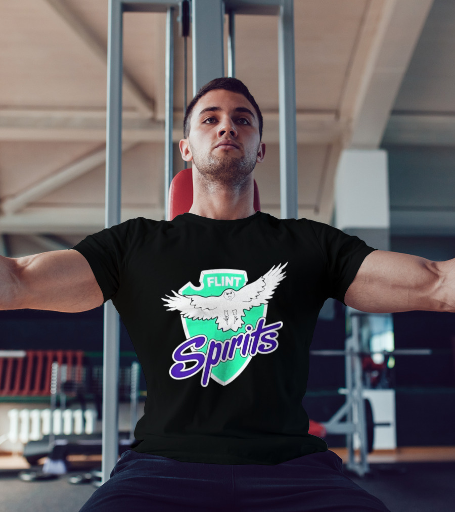 Flint Spirits Eagle Shield Vintage Sports Team T-Shirt