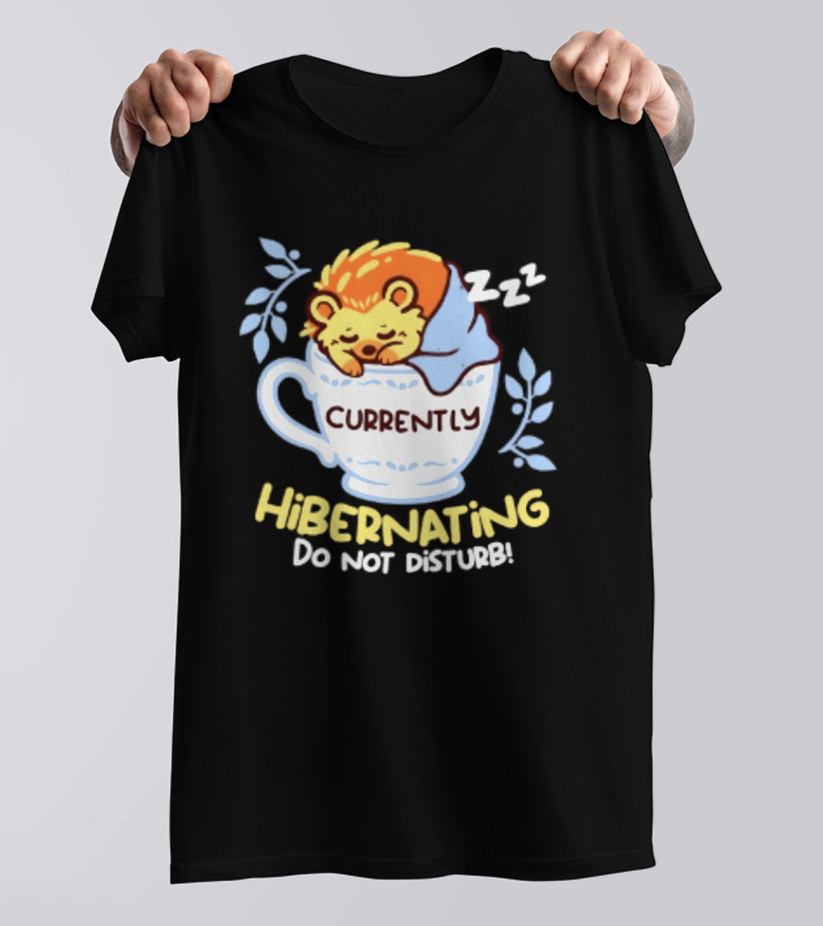 Currently Hibernating Do Not Disturb Hedgehog In Teacup Python T-Shirt