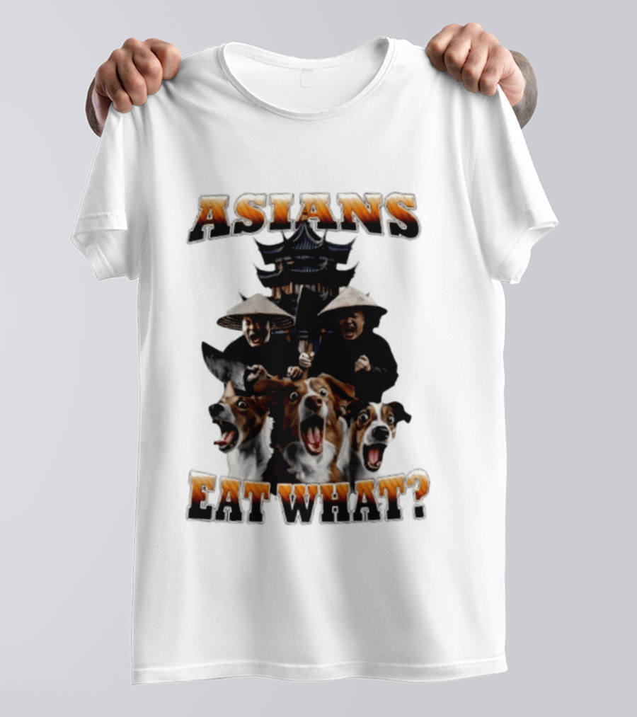 Asians Eat What Pagoda And Dogs Offensive Meme T-Shirt