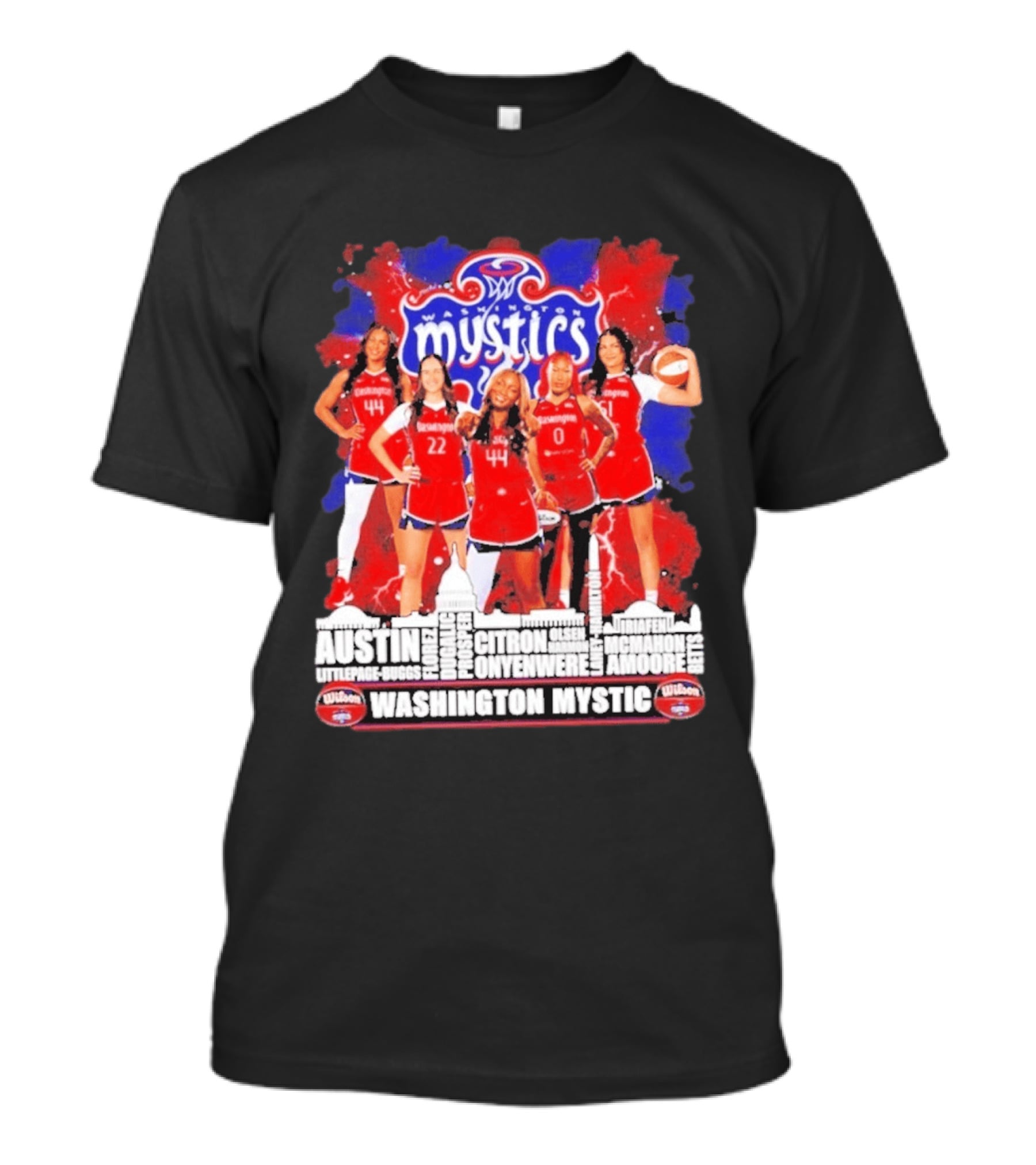 Washington Mystics Roster WNBA Basketball Skyline Austin Littlepage Buggs Poole Citron Onyenwere Amihere Olsen McMahon Amooore T-Shirt
