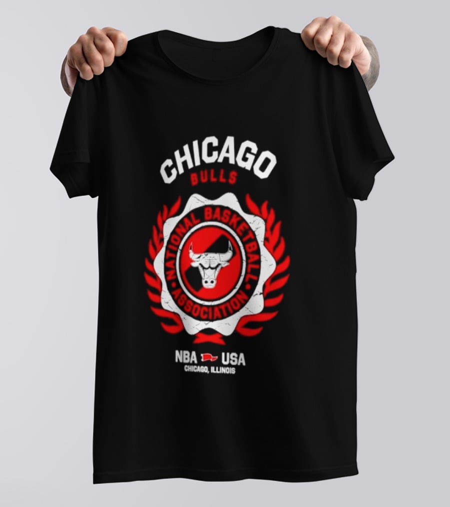 Chicago Bulls NBA USA Central Division Champions Chicago Illinois T-Shirt