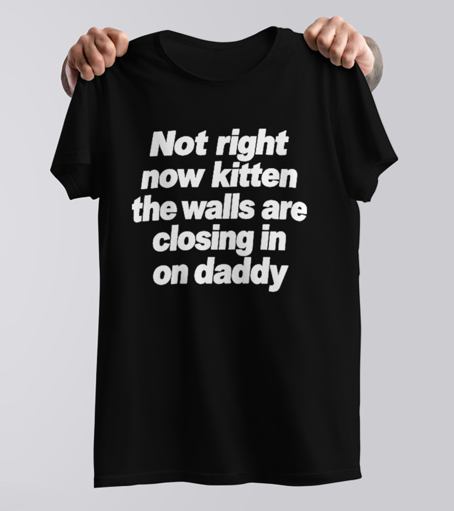 Not Right Now Kitten The Walls Are Closing In On Daddy Funny Meme T-Shirt