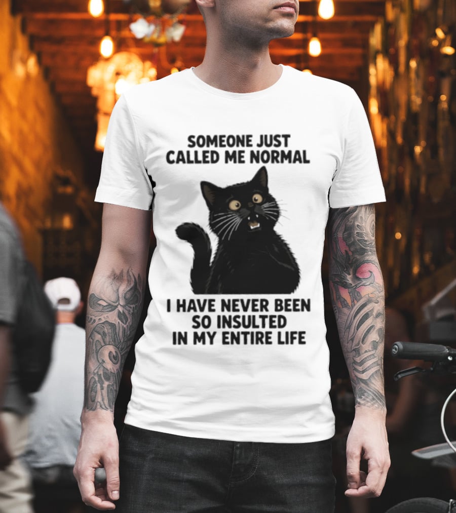 Someone Just Called Me Normal Black Cat Humor Never Been So Insulted In My Entire Life T-Shirt