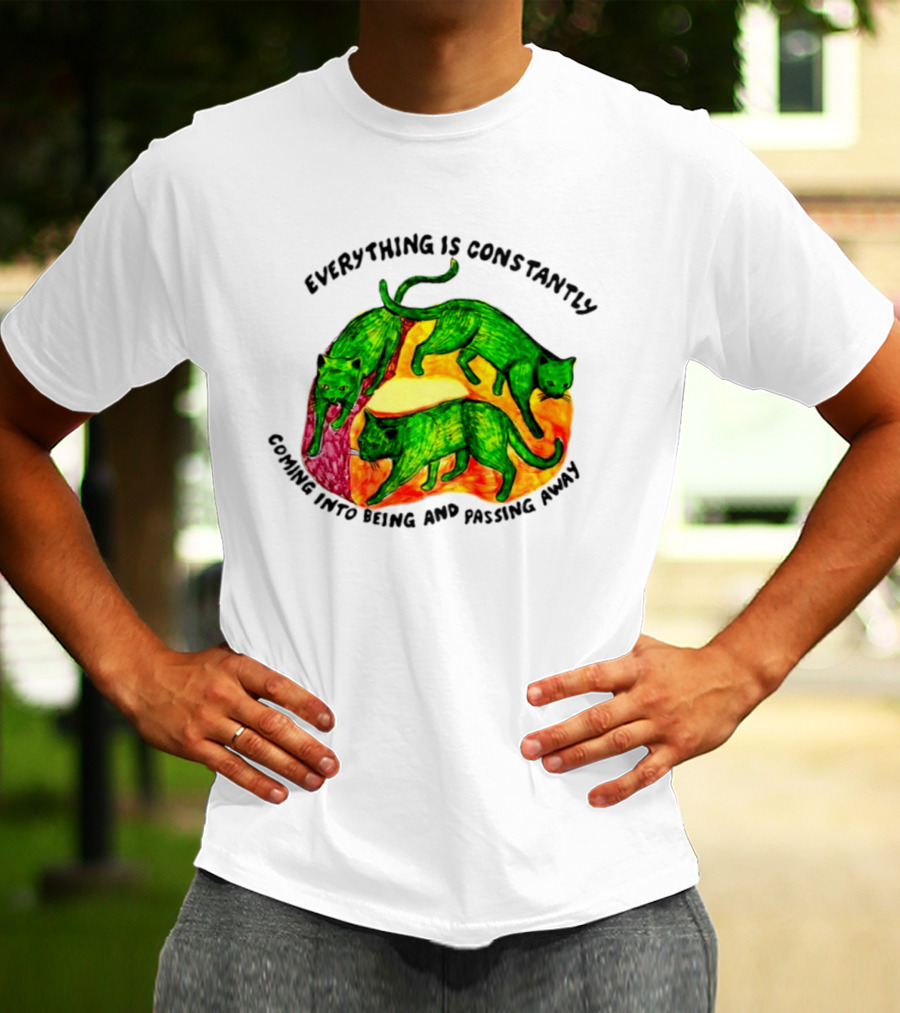 Everything Is Constantly Coming Into Being And Passing Away Cats Trio T-Shirt