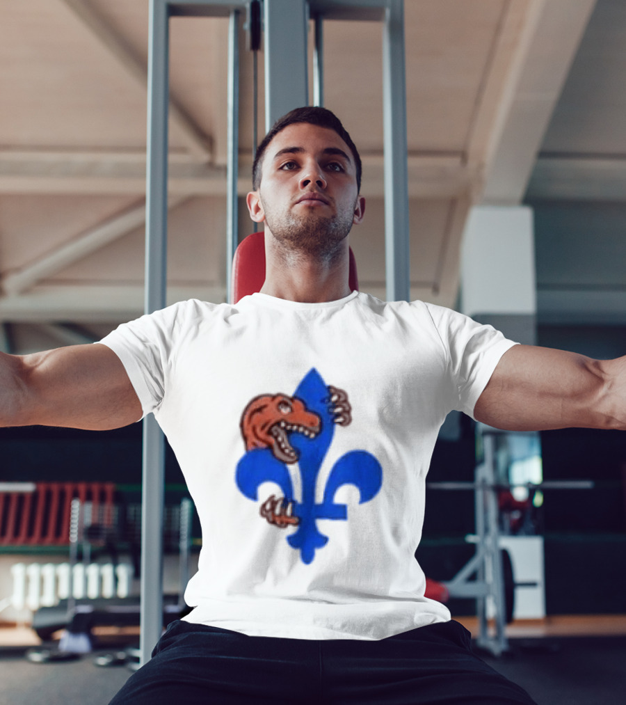2026 Raptors Quebec Canada Games Fleur De Lis And Dinosaur T-Shirt