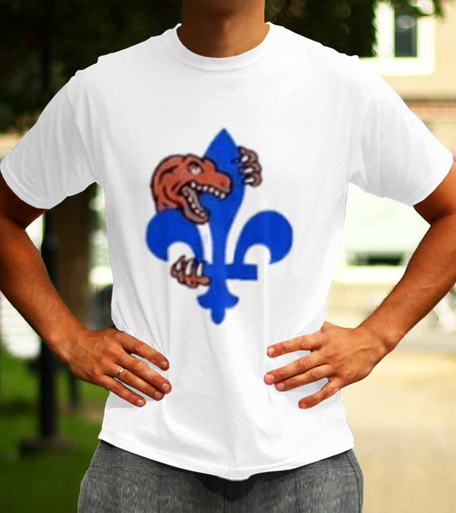 2026 Raptors Quebec Canada Games Fleur De Lis And Dinosaur T-Shirt