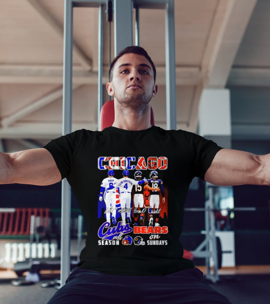 Chicago Cubs Happ And Bote Bears Fields And Moore Signature Skyline Sundays All Season T-Shirt