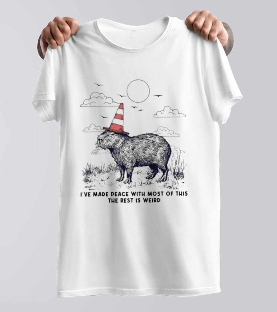 Capybara With Cone Hat Peaceful Yet Weird Scene I've Made Peace With Most Of This T-Shirt