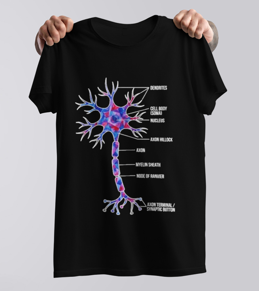 Dendrites Cell Body Soma Nucleus Axon Hillock Axon Myelin Sheath Node Of Ranvier Axon Terminal Synaptic Bouton T-Shirt