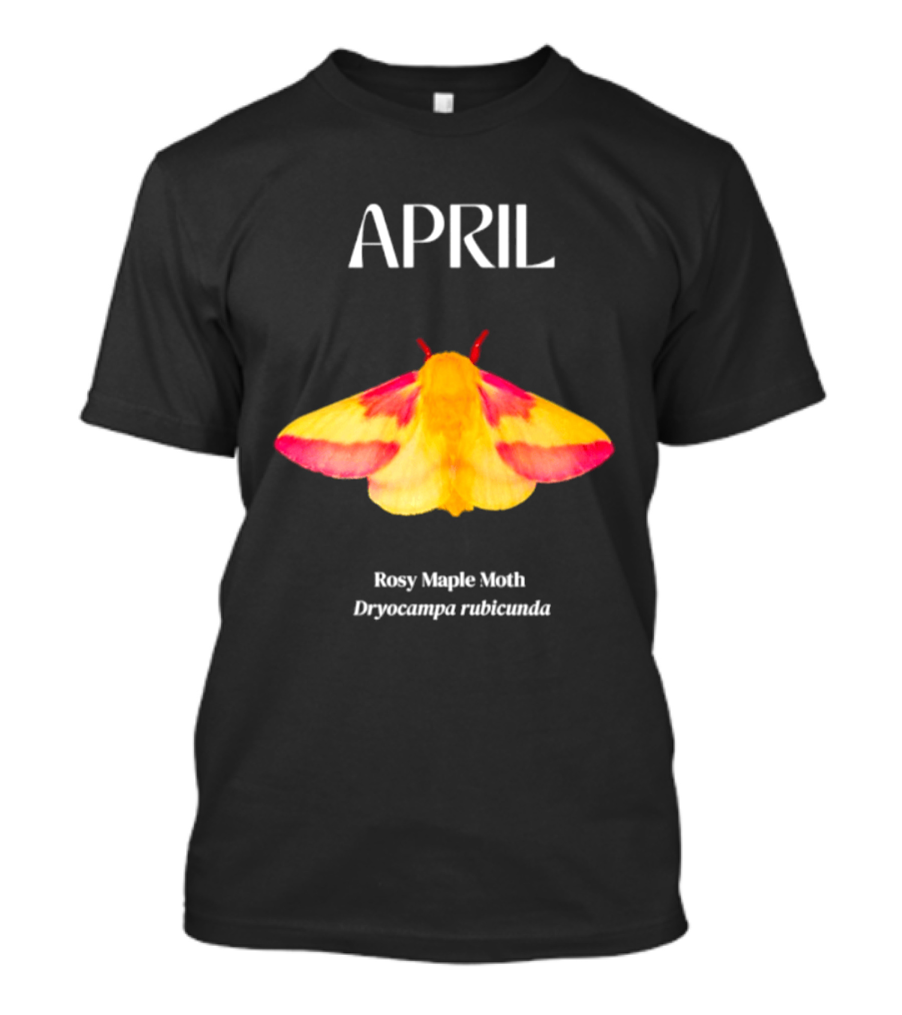 April Rosy Maple Moth Dryocampa Rubicunda Vibrant Yellow Pink Insect T-Shirt