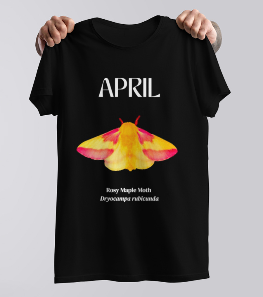 April Rosy Maple Moth Dryocampa Rubicunda Vibrant Yellow Pink Insect T-Shirt