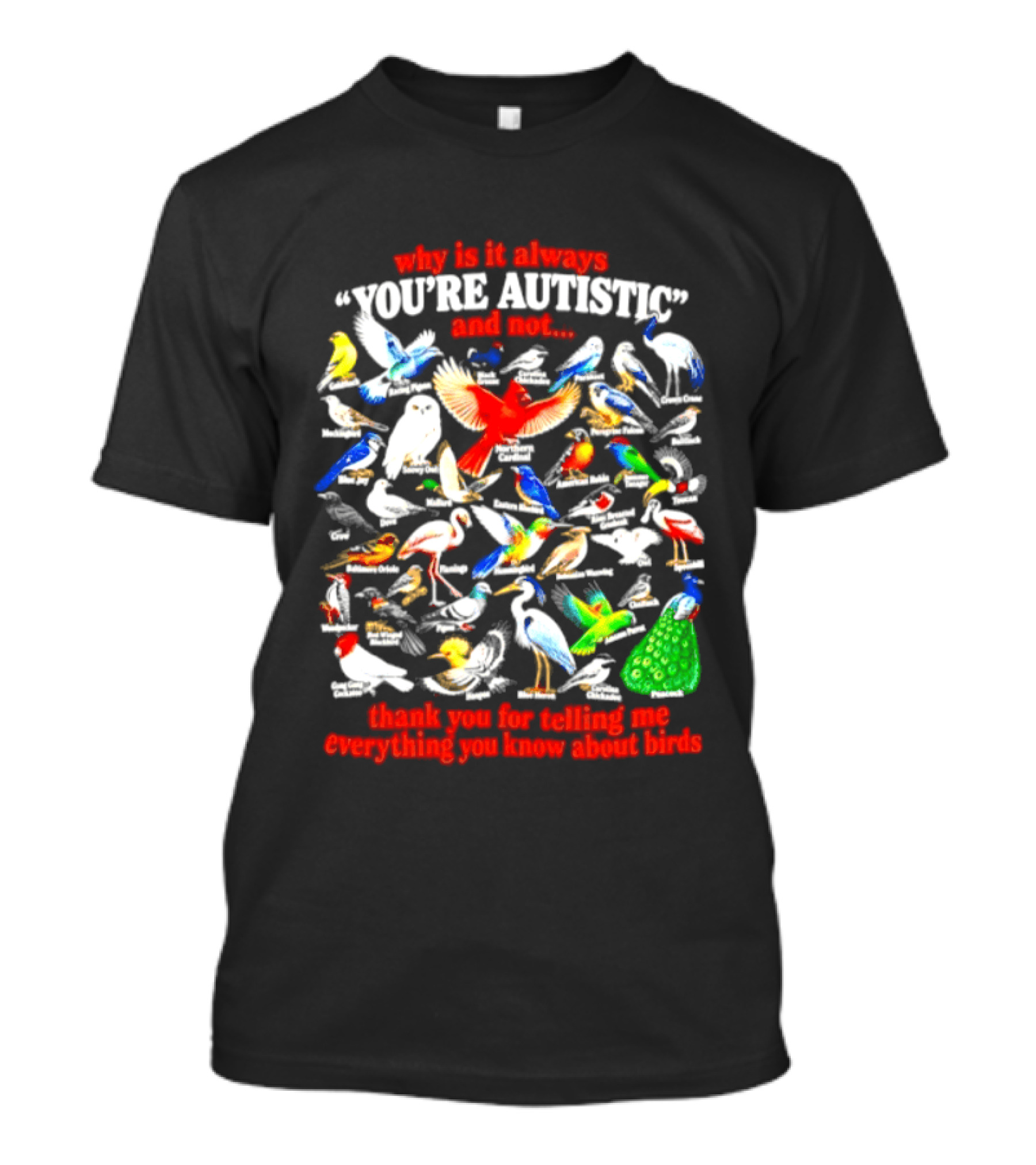 Why Is It Always You're Autistic And Not Thank You For Telling Me Everything You Know About Birds T-Shirt