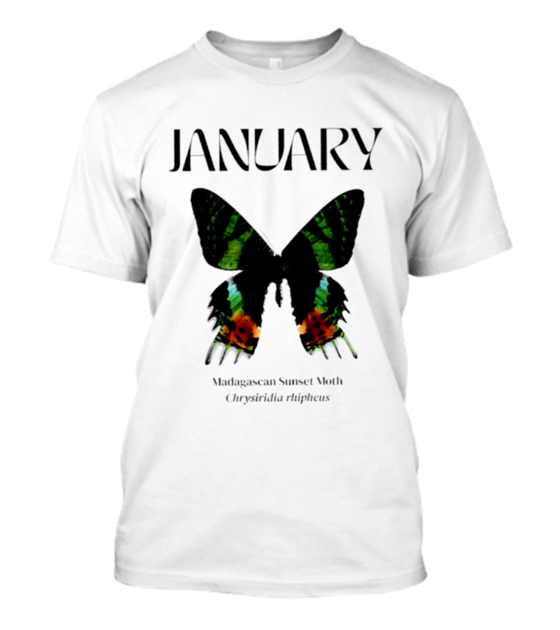 January Madagascan Sunset Moth Chrysiridia Rhipheus T-Shirt