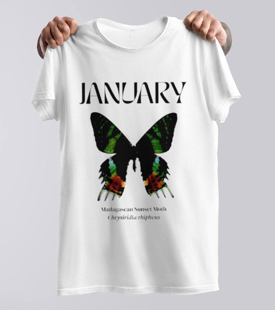 January Madagascan Sunset Moth Chrysiridia Rhipheus T-Shirt
