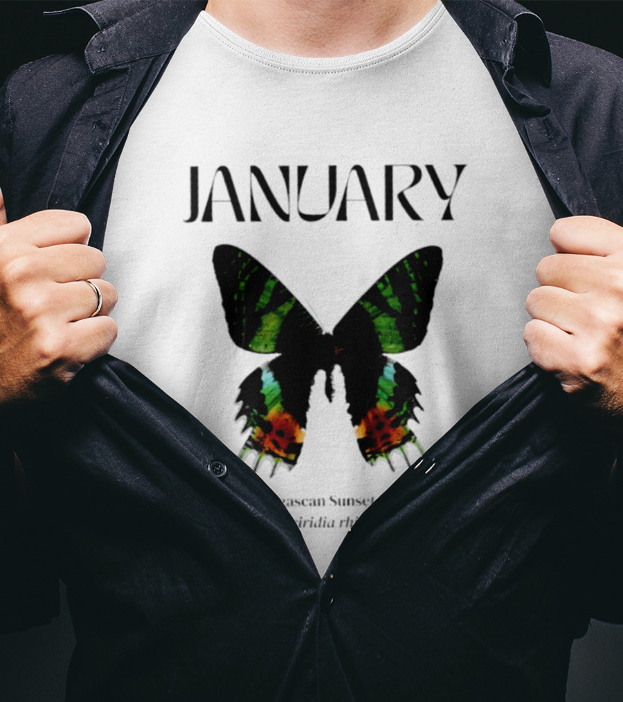 January Madagascan Sunset Moth Chrysiridia Rhipheus T-Shirt