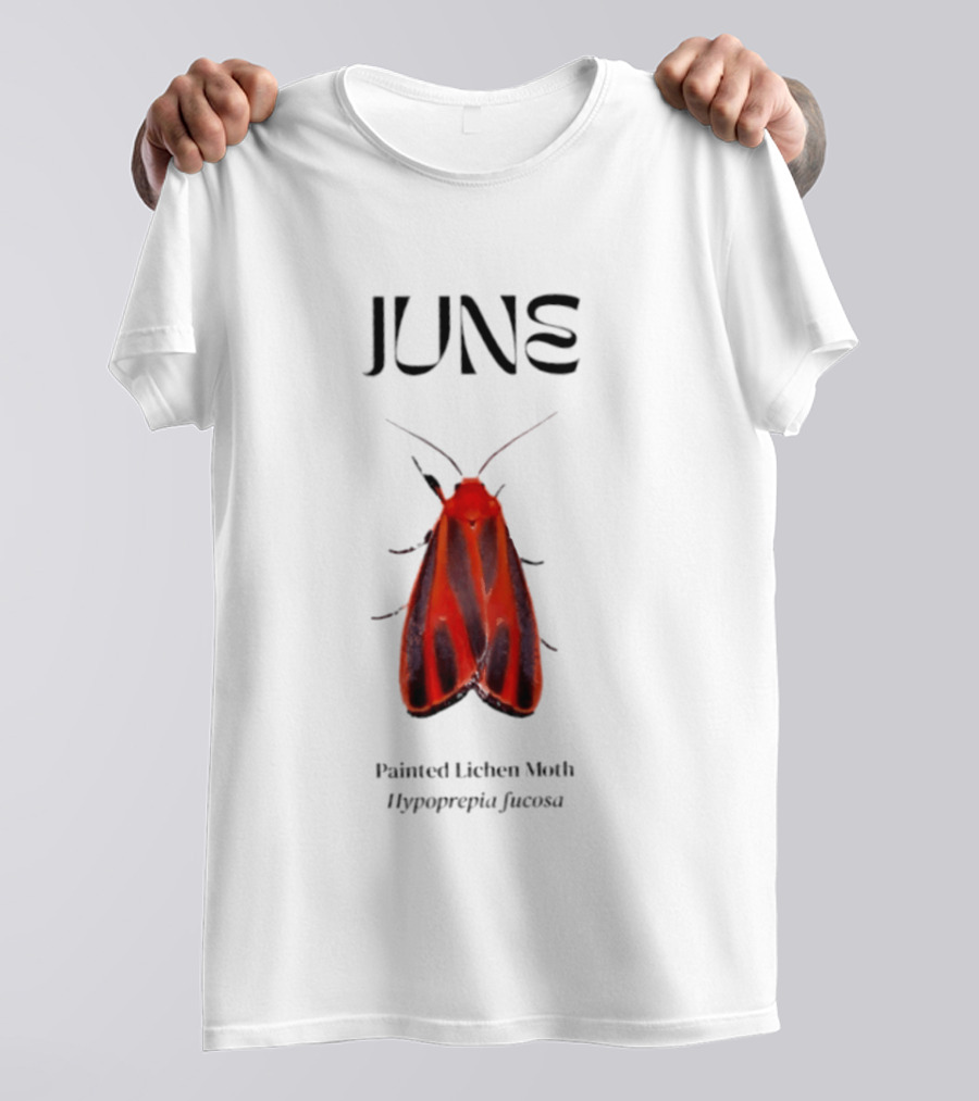 June Hypoprepia Fucosa Painted Lichen Moth T-Shirt