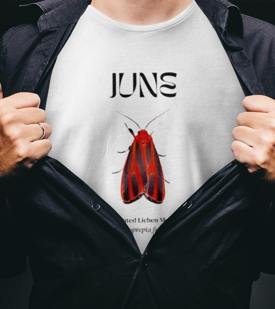June Hypoprepia Fucosa Painted Lichen Moth T-Shirt