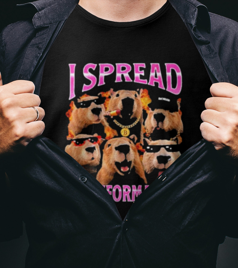 I Spread Misinformation Capybara Meme With Cool Capybaras In Sunglasses And Accessories T-Shirt