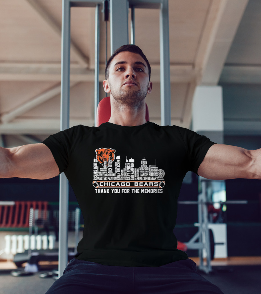 Chicago Bears Thank You For The Memories Skyline Bear T-Shirt