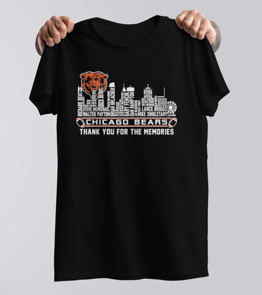 Chicago Bears Thank You For The Memories Skyline Bear T-Shirt