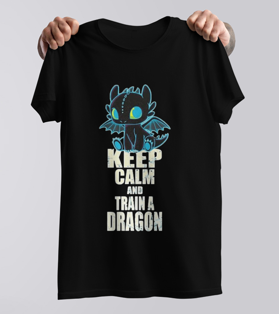 Keep Calm And Train A Dragon Toothless How To Train Your Dragon Cartoon T-Shirt