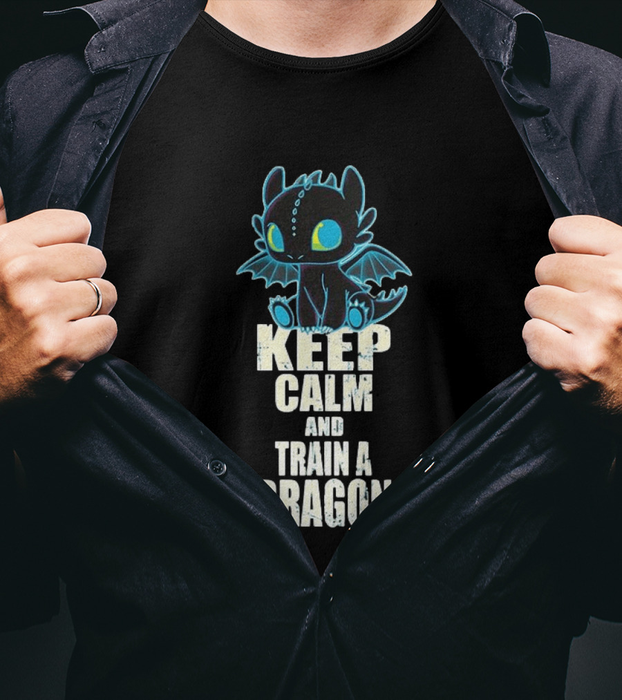 Keep Calm And Train A Dragon Toothless How To Train Your Dragon Cartoon T-Shirt