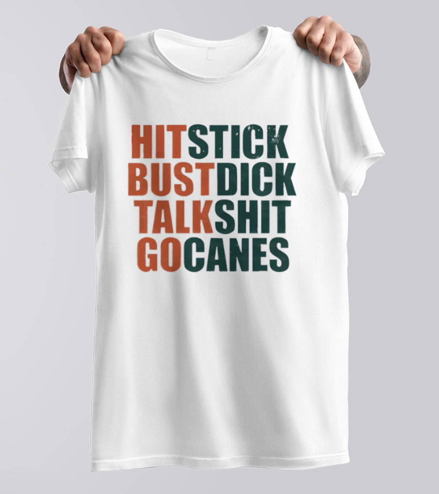 Hit Stick Bust Dick Talk Shit Go Canes Miami Hurricanes T-Shirt
