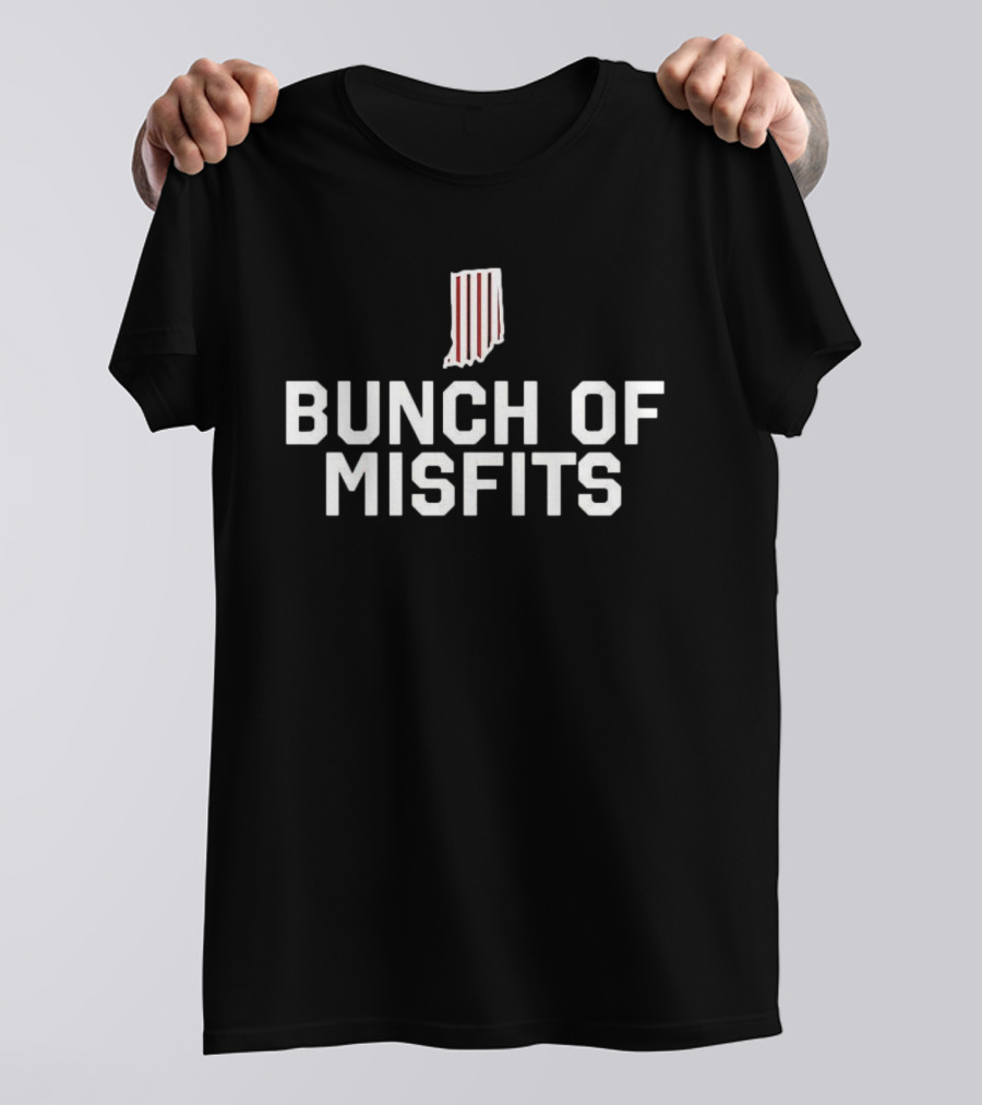 Indiana Hoosiers Bunch Of Misfits Iconic Striped State T-Shirt