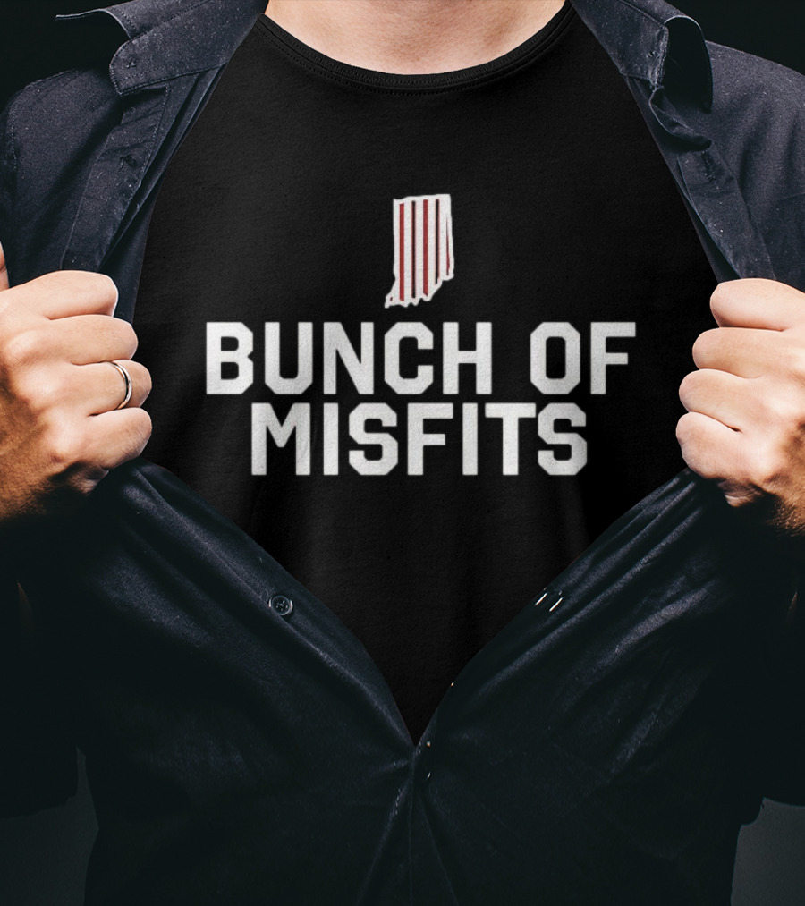 Indiana Hoosiers Bunch Of Misfits Iconic Striped State T-Shirt