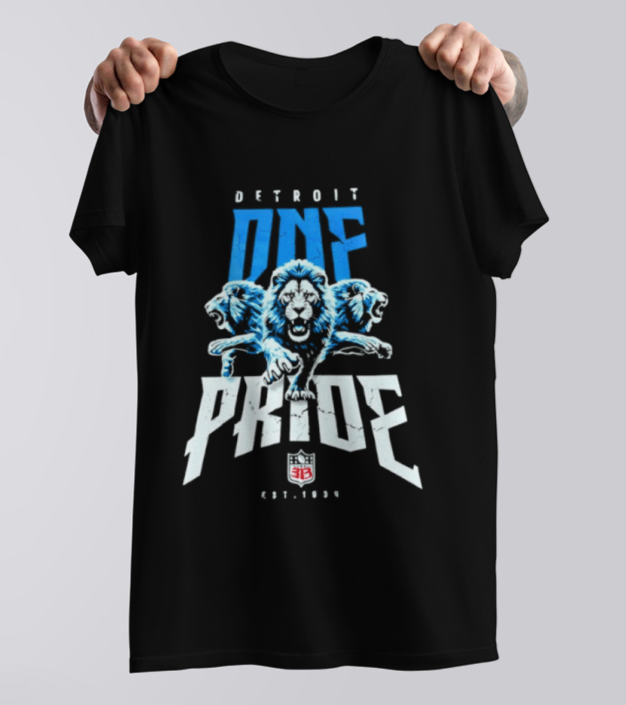 Detroit One Pride 313 Lions Est 1930 T-Shirt