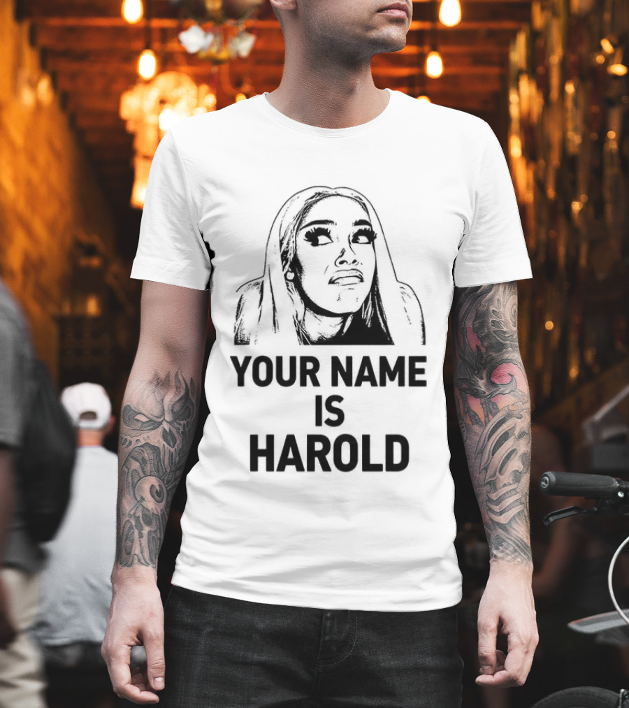 Your Name Is Harold Meme Humor T-Shirt