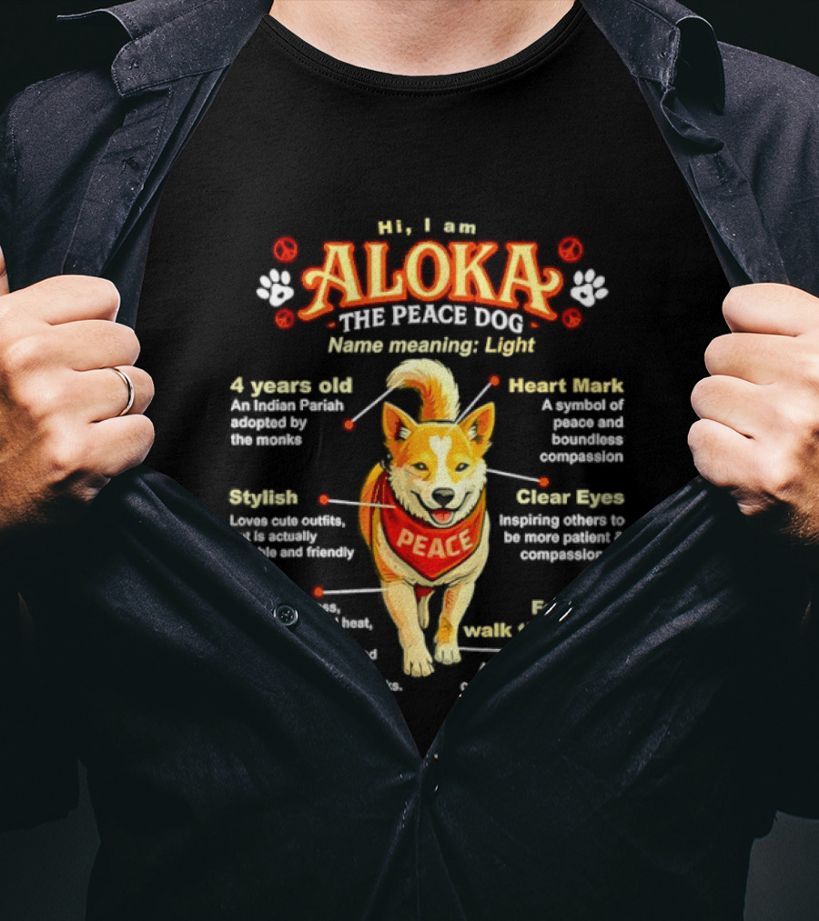 Aloka The Peace Dog Light Heart Symbol Calm Labrador Features T-Shirt