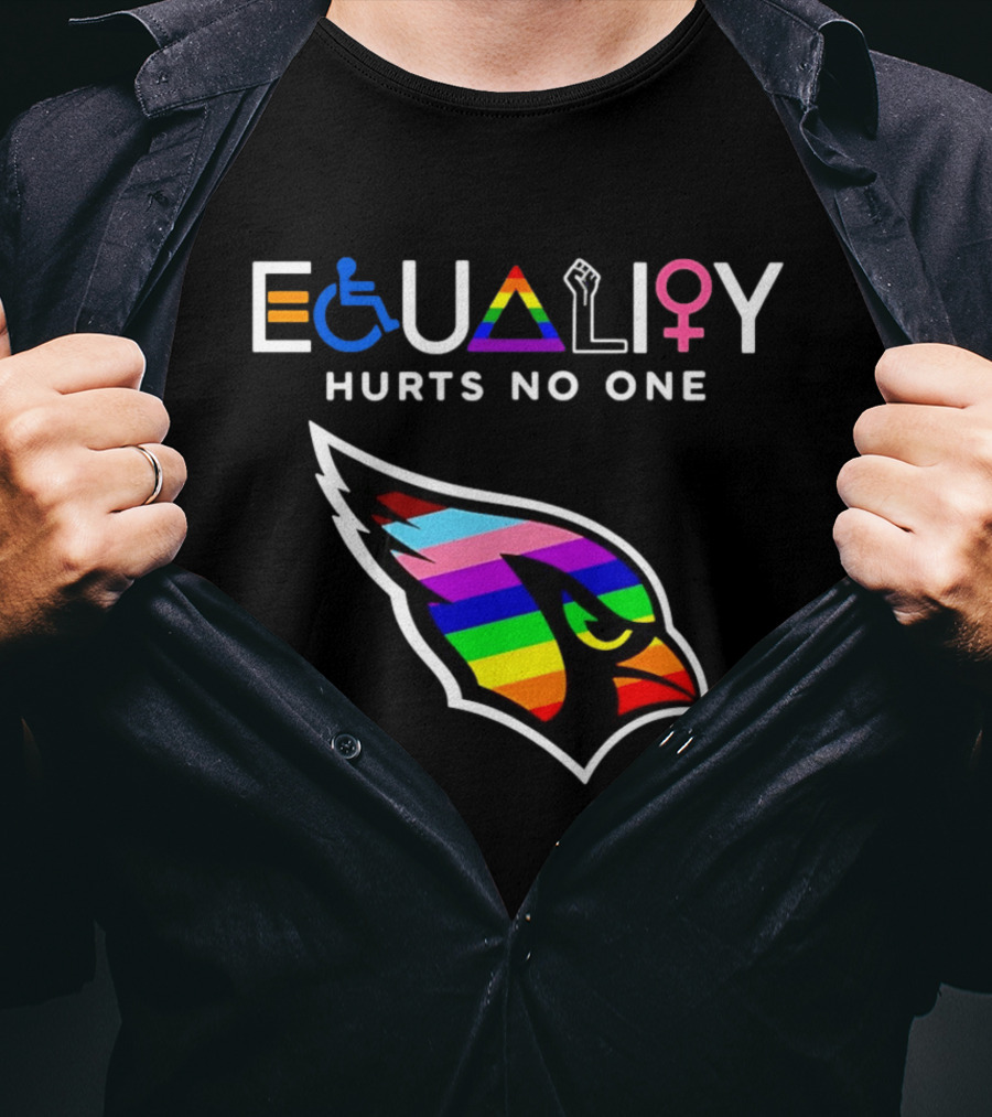 Arizona Cardinals Pride Equality Hurts No One Inclusive Message T-Shirt