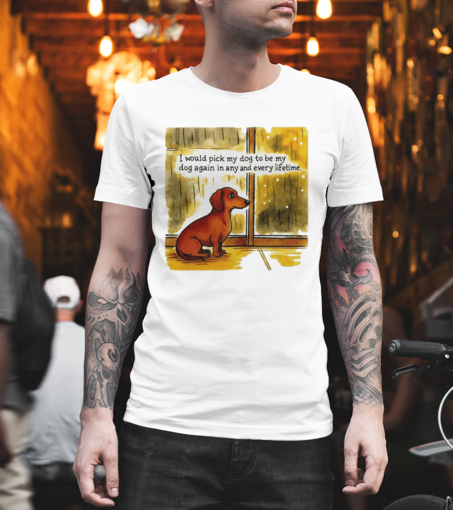 I Would Pick My Dog To Be My Dog Again In Any And Every Lifetime Dachshund By Window T-Shirt
