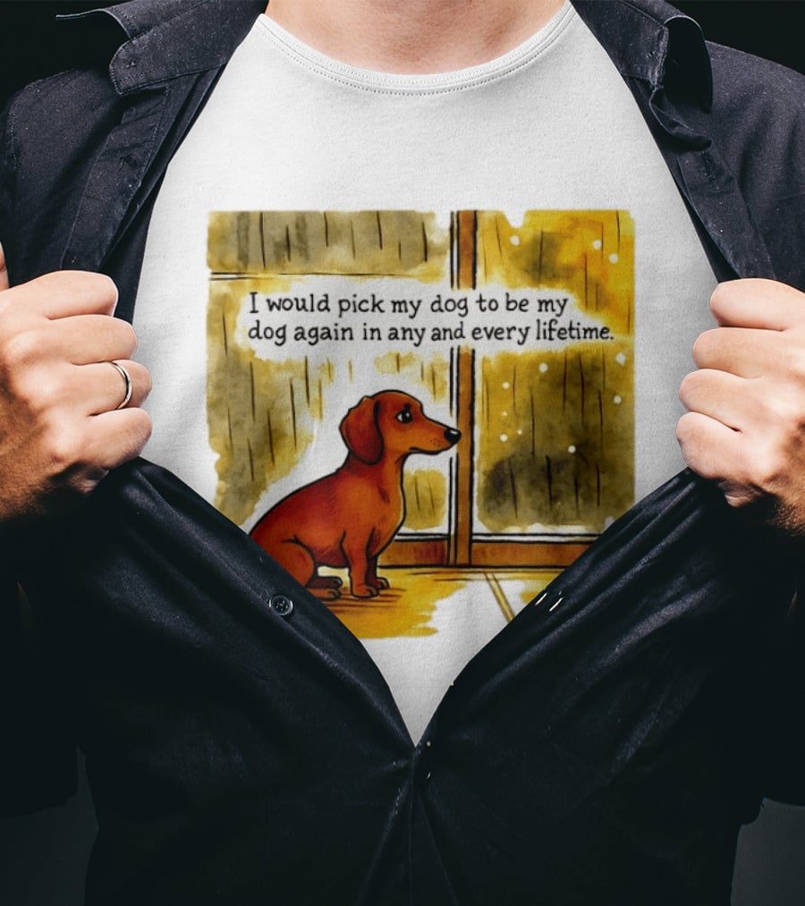 I Would Pick My Dog To Be My Dog Again In Any And Every Lifetime Dachshund By Window T-Shirt