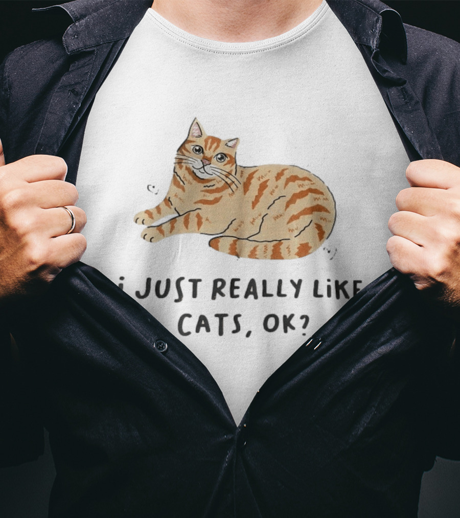 I Just Really Like Cats Ok With Cute Orange Tabby Cat T-Shirt