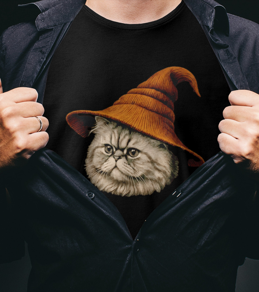 Beanie Cat Wizard Cartoon Plush Orange Hat Feline T-Shirt