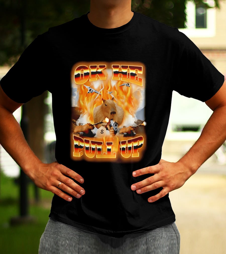 Ok He Pull Up Capybara Surrounded By Fire With Jets And Guns T-Shirt