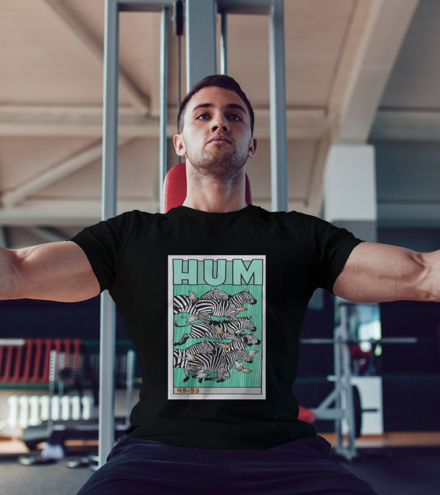 Hum Band Tour 2026 Concert Zebras 45:53 T-Shirt