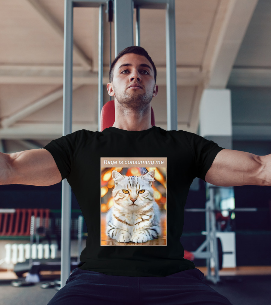 Cat Rage Is Consuming Me Meme Tiger Stripes T-Shirt