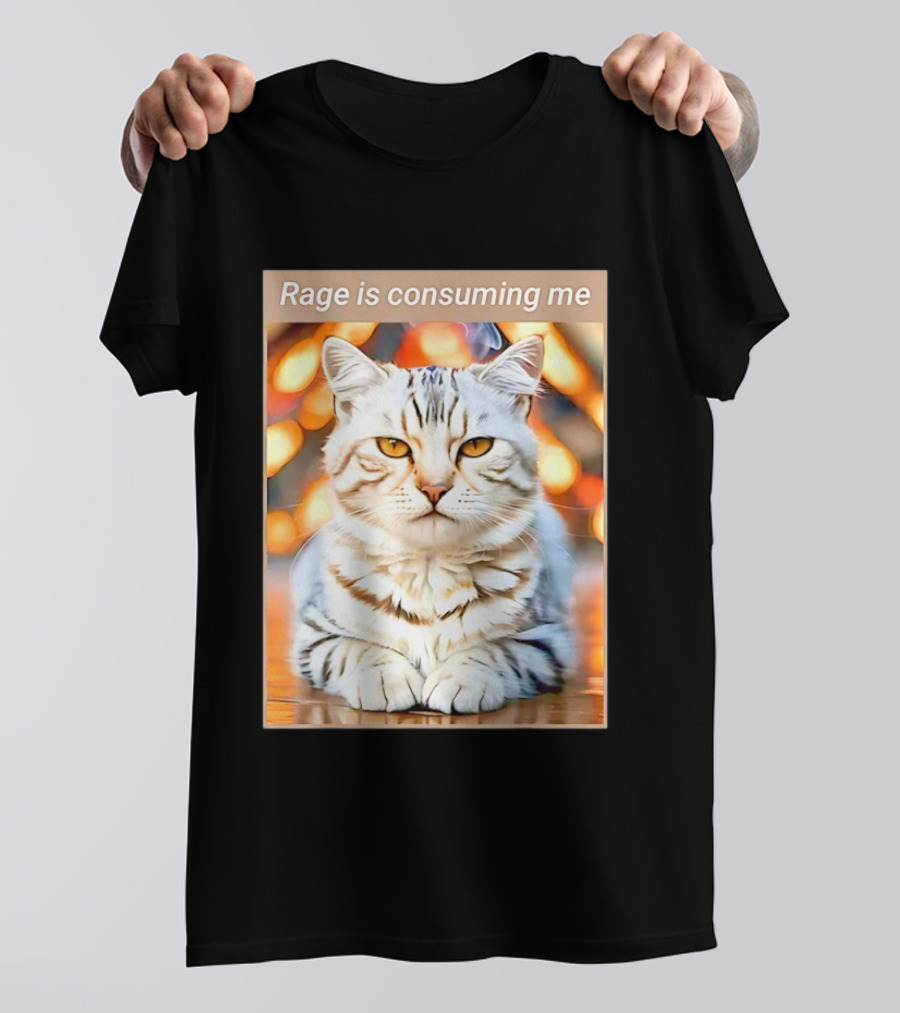 Cat Rage Is Consuming Me Meme Tiger Stripes T-Shirt