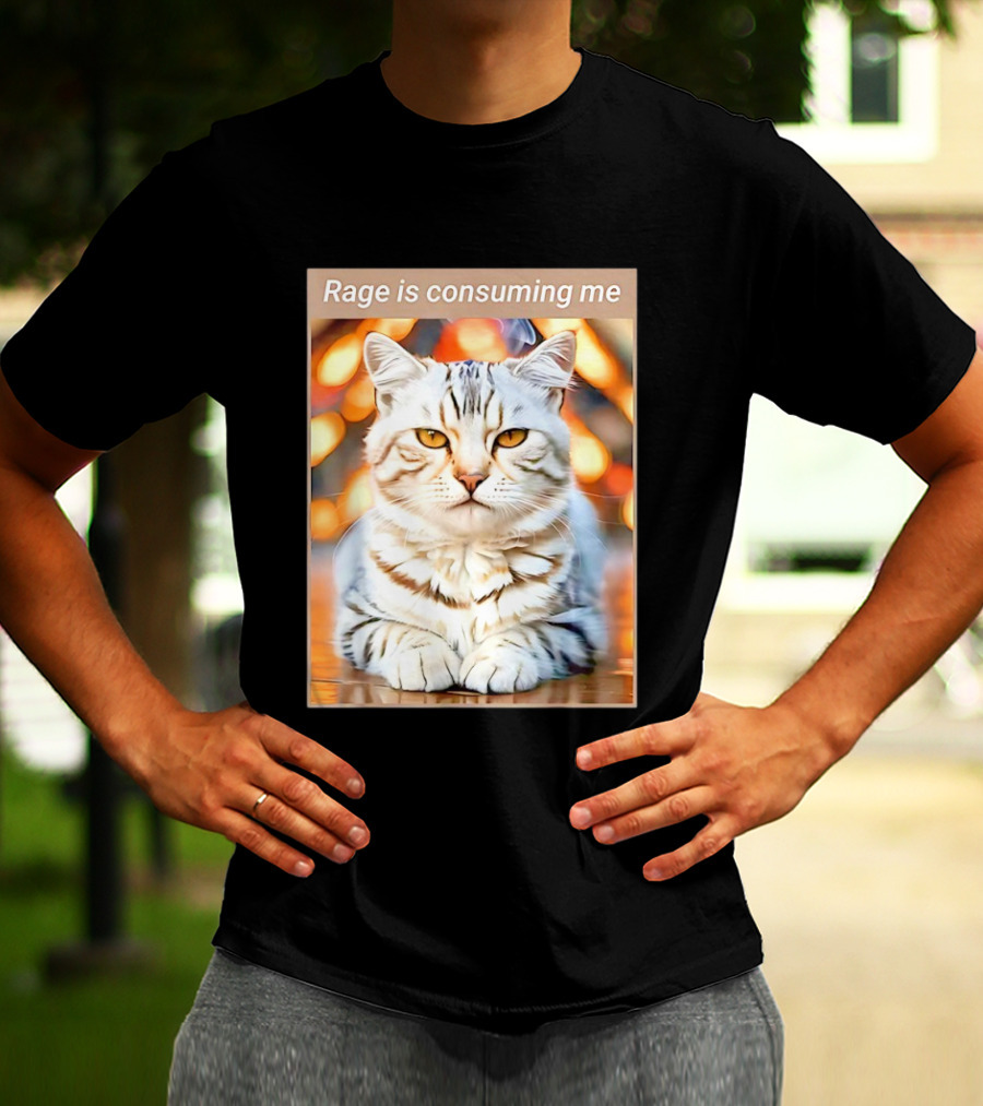 Cat Rage Is Consuming Me Meme Tiger Stripes T-Shirt
