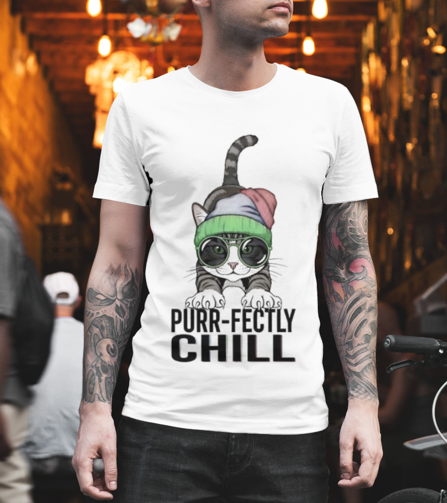 Purr Fectly Chill Cat With Beanie And Sunglasses T-Shirt